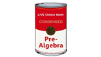 Condensed Pre-Algebra